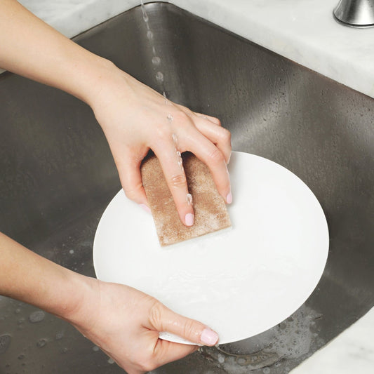Walnut Scrubber Sponge Set/2