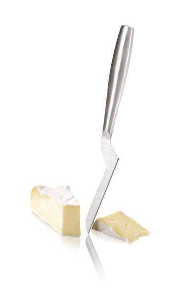 Soft Cheese Knife #1
