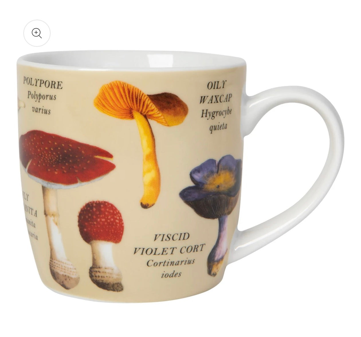12oz Mug, Mushrooms