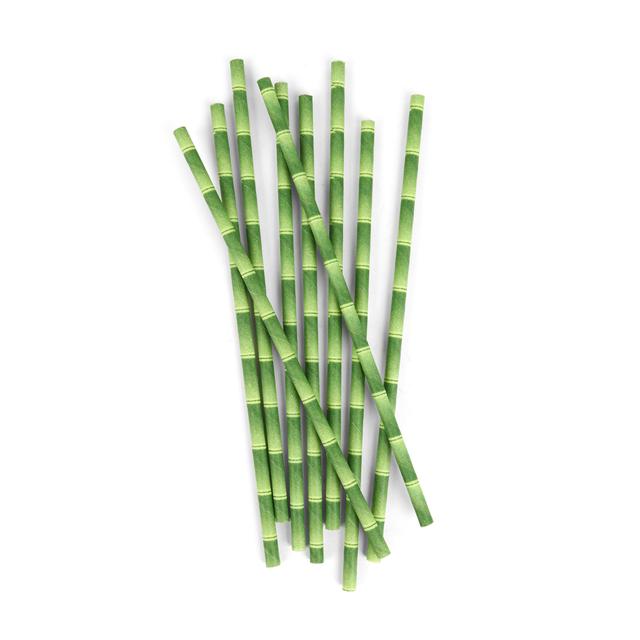 Bamboo Paper Straws /144