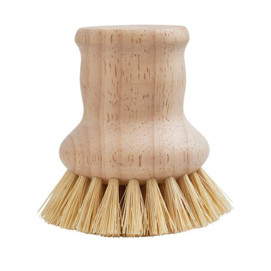 Veggie / Dish Brush